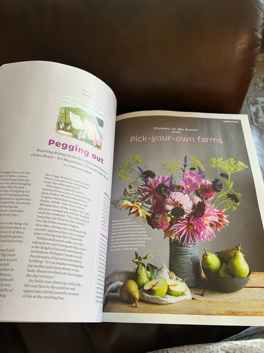 Homebird Magazine - Picture 11 of 14